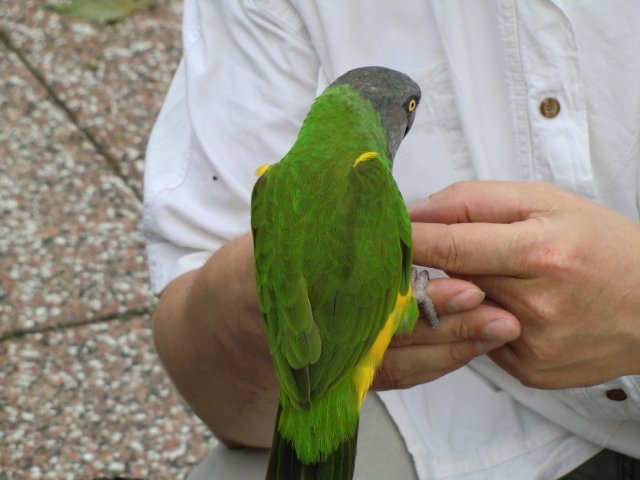 2011-09-04 Wantijpark